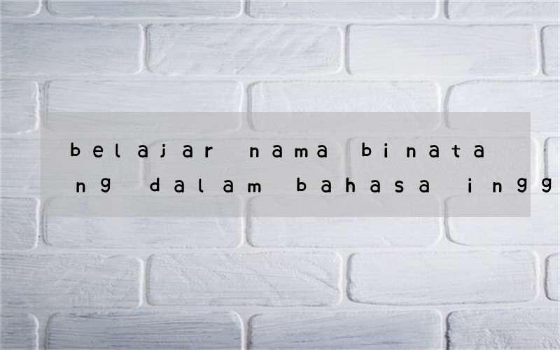 belajar nama binatang dalam bahasa inggris dengan permainan